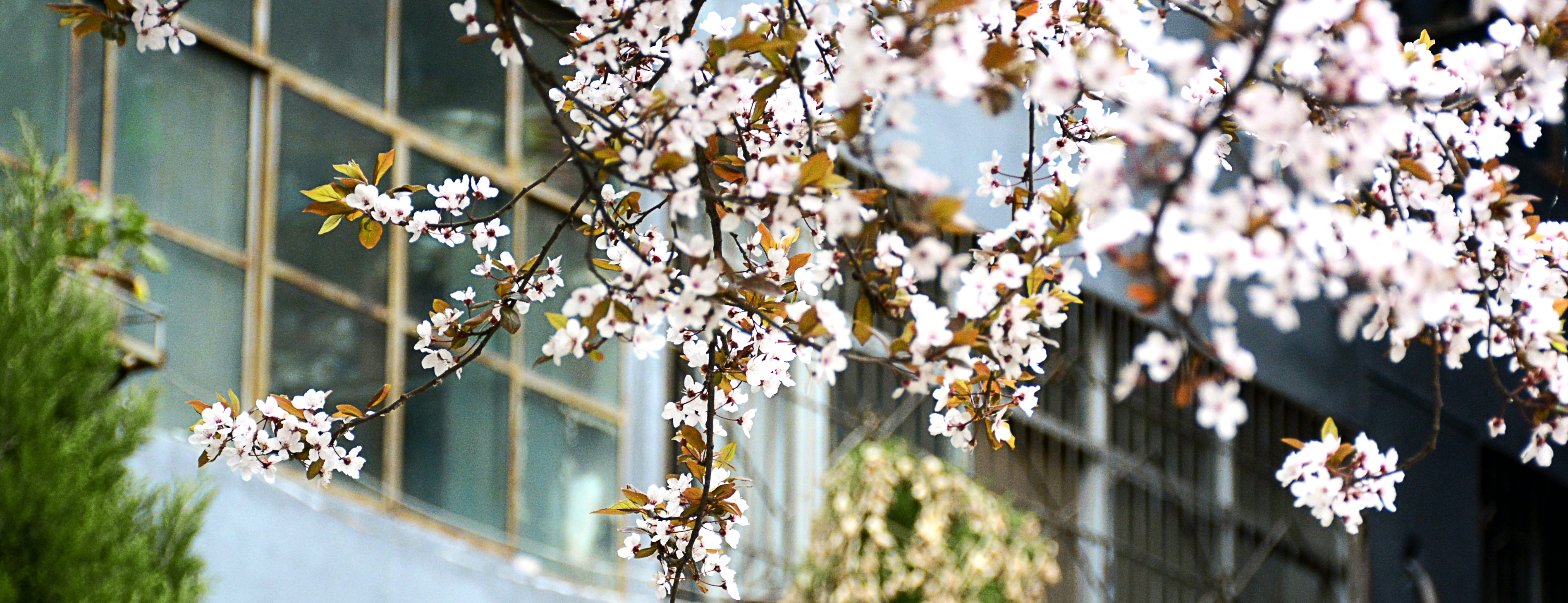 英国上市公司官网365